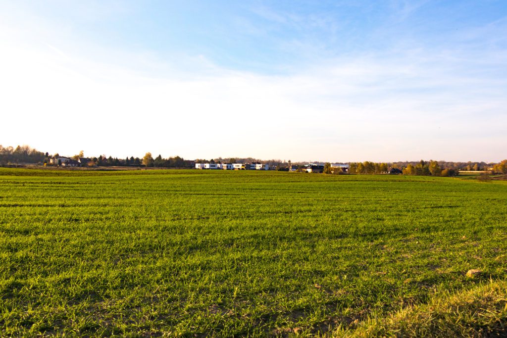 View of agricultural land